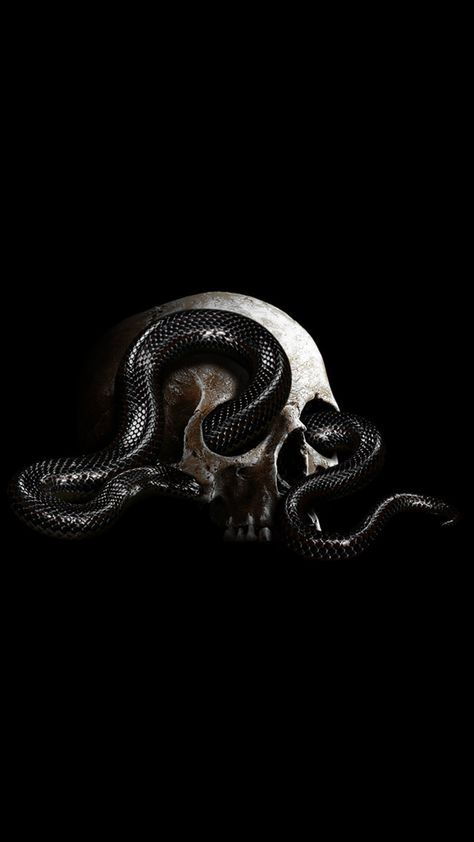 Snake Book Cover, Dark Snake Aesthetic, Basilisk Aesthetic, Black Snake Aesthetic, Snake Core, Angel By The Wings, Skull With Snake, Book Cover Art Ideas, Snake Skeleton