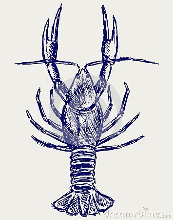 Crayfish Sketch Stock Photos, Images, & Pictures – (159 Images) Headphone Sketch, Curtains Vector, Cupcake Vector, Feather Vector, Traditional Sleeve, Cross Vector, Notebook Drawing, Horse Silhouette, Vector Sketch