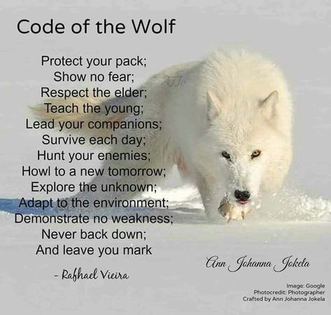 Code Of The Wolf, Lone Wolf Quotes, Tattoo Wolf, Wolf Quotes, Wolf Spirit Animal, Wolf Love, Wolf Pictures, Wolf Spirit, Warrior Quotes