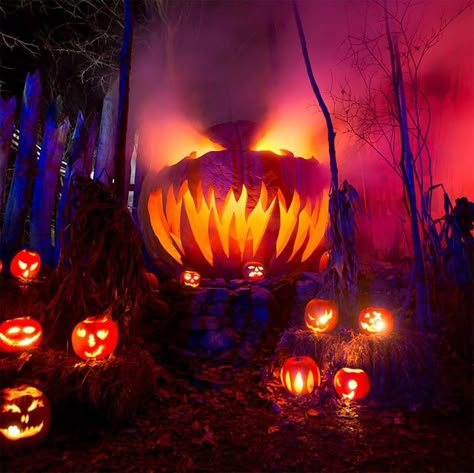 Aesthetic Front Yard, Halloween Yard Displays, Horror Pumpkin, Haunted Attractions, Yard Haunt, Scary Halloween Decorations, Halloween Yard, Halloween Haunted Houses, Halloween Aesthetic