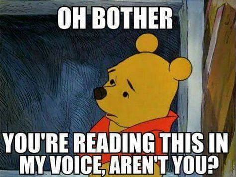 You're reading this in my voice, aren't you? Winnie The Pooh Memes, Family Guy Quotes, Funny Weekend Quotes, The Happy Prince, Funny Disney Memes, Travel Humor, Friday Humor, Memes Humor, Disney Memes