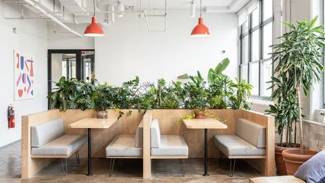 205 Hudson Street - Hudson Square Coworking Space | WeWork Tea Room Design, Office Space For Rent, Coworking Office, Hudson Homes, Green Office, Booth Seating, Office Space Design, Office Lounge, Conference Rooms