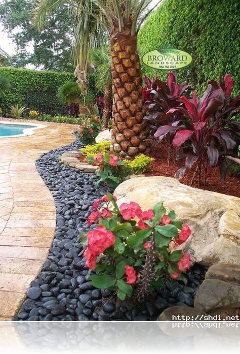 Poolside Landscape Ideas, Garden With Rocks, Landscaping Around Pool, Tropical Backyard Landscaping, Palm Trees Landscaping, Tropical Landscape Design, Backyard Ideas For Small Yards, Florida Landscaping, Tropical Backyard