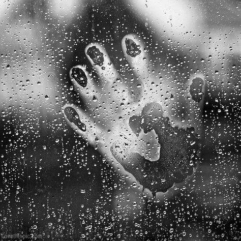 . Rain Window, I Love Rain, Love Rain, Foto Tips, Rain Photography, Dancing In The Rain, Black White Photos, Rain Drops, The Window