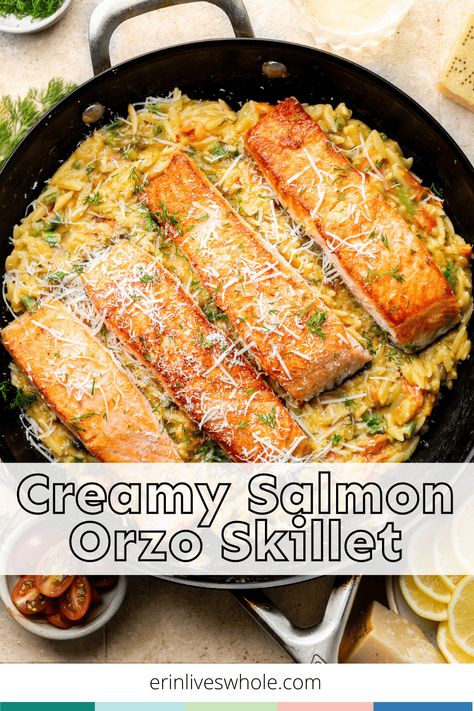 Switch up your standard salmon routine and try out this delicious Creamy Salmon Orzo Skillet! Between the veggies, parmesan cheese, and lemon, it's overflowing with savory flavors. Creamy Lemon Garlic Orzo With Salmon, Orzo Fish Recipes, Creamy Salmon And Rice, Salmon Orzo Asparagus, Lemon Salmon Orzo Skillet, Orzo Recipes With Salmon, Salmon With Boursin Cheese, Creamy Salmon Orzo, Baked Salmon With Orzo