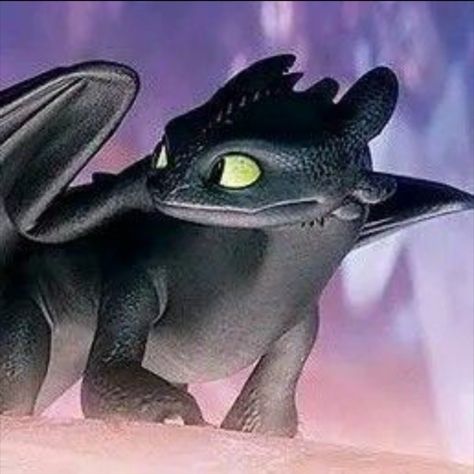 Halloween Profile Pics, Toothless And Light Fury, Dragon Icon, Toothless Dragon, Light Fury, Httyd Dragons, Dragon Trainer, Cute Dragons, Anime People