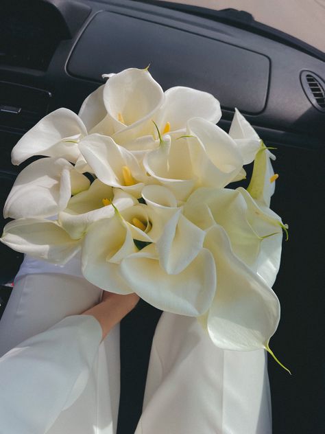 Zantedeschia Bouquet, Lilly Bouquet Wedding, Calla Lillies Bouquet, White Calla Lily, Arum Lily, Calla Lily Bouquet, Lily Wedding, Lily Bouquet, Boda Mexicana