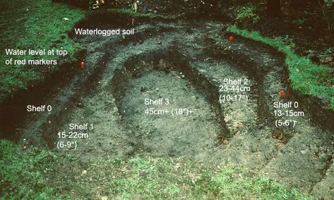 What shelf depths to build in your pond Natural Garden Pond Ideas, Garden Wildlife Pond, Wildlife Pond Ideas, Natural Pond Ideas, Garden Ponds Ideas, Digging A Pond, Build A Pond, Ponds Ideas, Natural Ponds