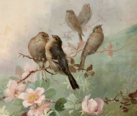 Birds, Flowers, Pink