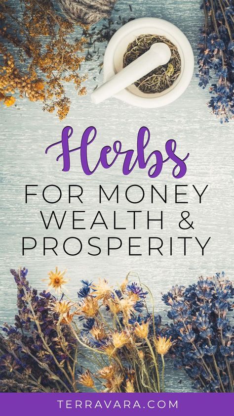 Magic herbs for attracting money, wealth and prosperity. Nature, Money Attracting Herbs, Herbs That Attract Money, Attraction Herbs Witchcraft, Herbs For Prosperity Money, Money Spell Herbs, Herbs For Money Witchcraft, Money Magick Herbs, Spell For Money Wealth