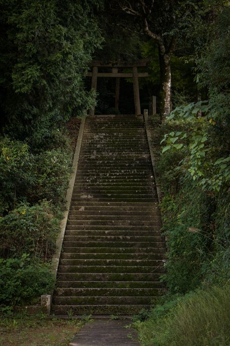 Abandoned Shrine Japan, Abandoned Japanese Temple, Japanese Shrine Aesthetic, Shinto Aesthetic, Ancient Japan Aesthetic, Old Japanese Temple, Haunted Japan, Japan Scary, Kitsune Shrine