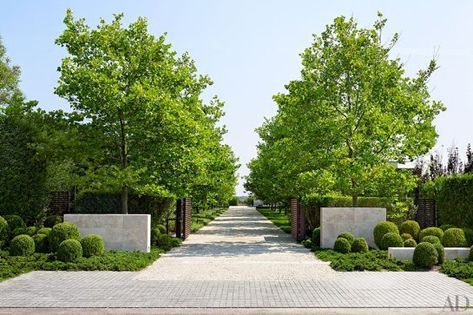 Tour a Stylish Hamptons Home with Beautiful Views of Sagg Pond Tree Architecture, London Plane Tree, Estate Gates, Patio Plans, Diy Garden Patio, Driveway Design, Driveway Landscaping, Pond Design, Hamptons House