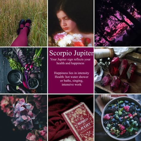 Scorpio jupiter maroon purple red aesthetic health and happiness collage Scorpio Jupiter Aesthetic, Scorpio Sun Aesthetic, Scorpio Moodboard, Purple Red Aesthetic, Scorpio Jupiter, Libra Sun Taurus Moon, Jupiter In Scorpio, Jupiter Astrology, Jupiter Aesthetic