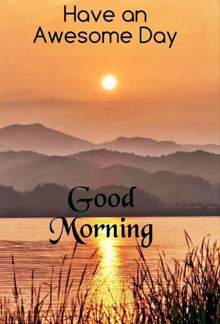 Lovely Good Morning Images, Good Morning Greeting Cards, Good Morning Sweetheart Quotes, Good Morning Sunshine Quotes, Good Morning Inspiration, Good Morning Flowers Quotes, Good Morning Nature, Good Morning Images Hd, Slaap Lekker