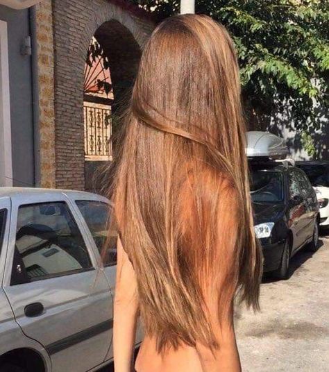 Lightest Brown Hair Color, Lightest Brown Hair, Rambut Brunette, Golden Brown Hair, Long Hair Color, Foto Tips, Long Brown Hair, Beautiful Long Hair, Light Brown Hair