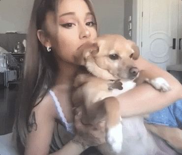 Ariana Grande Gif Banner, Ariana Grande Gif Pfp, Gif Profile Pictures, Ariana Grande Banner, Ariana Gif, Ariana Grande Videos, Dog Banner, Banner Gifs, Victorious Cast