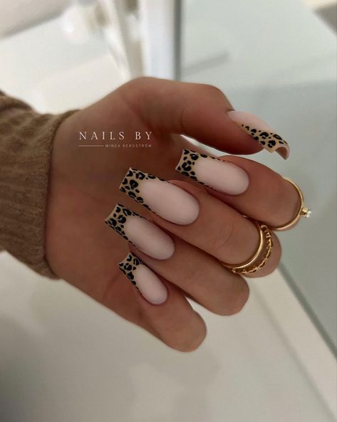 September Nail Ideas Coffin, September Nails Square, Receptionist Nails, Leopard Acrylics, Nail Inspo September, Nail Inspo Leopard Print, White Nails With Leopard Print, Square Leopard Print Nails, White Nails Leopard