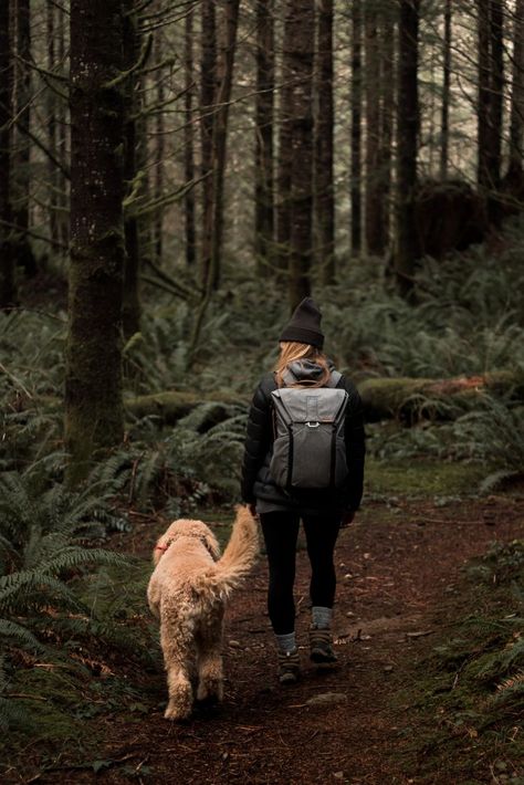 Oc Pokemon, Hiking Photography, Door Entrance, Dog Photoshoot, Farmhouse Front, Hiking Dogs, Adventure Aesthetic, Entrance Design, Wild Adventures