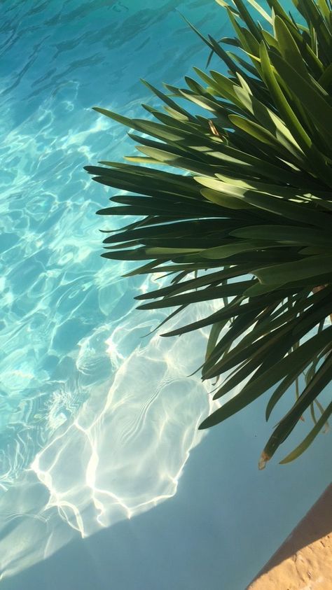 Beach Phone Wallpaper, Water Aesthetic, 140 Pounds, My Career, Beach Wallpaper, My Job, Beach Aesthetic, Nature Aesthetic, Beach Vibe