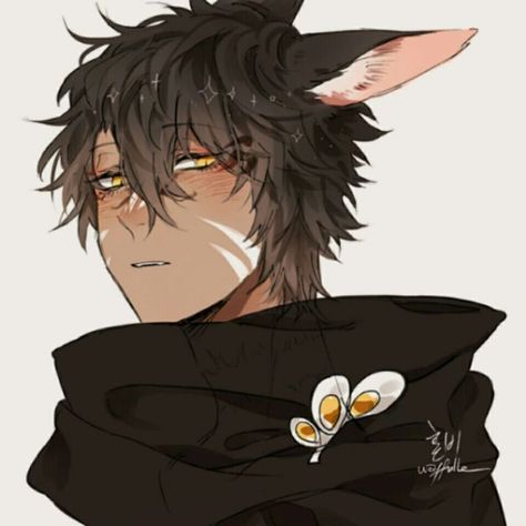 Miqo'te Male, Anime Cat Boy, Monster Boy, Black Anime Characters, Anime People, Anime Cat, Story Book, Boy Art, Dnd Characters