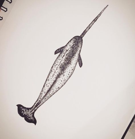 Narwhal tattoo sketch Narwhal Tattoo Traditional, Sawfish Tattoo, Narwal Tattoo, Narwhal Pictures, Narwhal Drawing, Narwhal Tattoo, Narwhal Art, Whale Tattoos, Up Tattoo