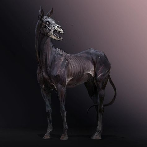 Since I’m not really doing these in order anyway, here is the a rough sketch of the zombie horse from day 5 of #creatuanary2019… Kelpie Horse, Zombie Horse, Demon Horse, Dark Pics, Horse Skull, Horse Ideas, Fantasy Horses, Halloween Zombie, Mythical Animal