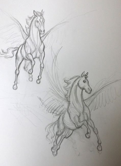 Pegasus drawing How To Draw Pegasus, Pegasus Reference Drawing, Pegasus Art Drawing, Pegasus Reference, Pegasus Sketch, Pegasus Drawing, Pegasus Art, Horse Sketch, Dragon Sketch