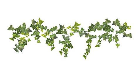 Crearreda CR54152 Ivy Decals * Details can be found by clicking on the image.Note:It is affiliate link to Amazon. Wall Ivy, Ivy Flower, Ivy Wall, English Country Cottages, Ivy Vine, Greenery Wedding Decor, Green Ivy, Wooden Wall Panels, Beach Wood