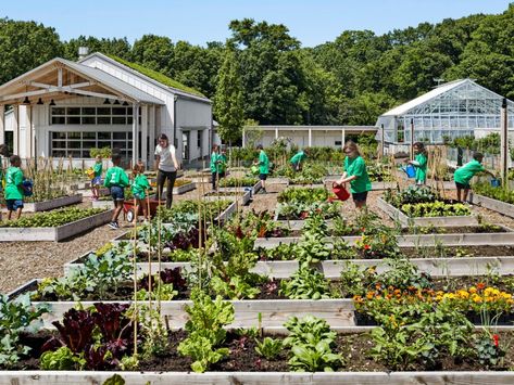 Horticulture Education, Learning Garden, Garden School, Outdoor Restaurants, Rain Gardens, New York Botanical Garden, Garage Style, American Garden, Kindergarten Design