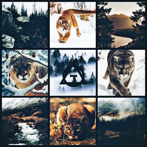 Animal Moodboard Aesthetic, Therian Moodboard, Animal Moodboard, Fursona Ideas, Adopt Idea, Make Your Own Character, Inspiration Board Design, Moodboard Aesthetic, Mood Board Inspiration