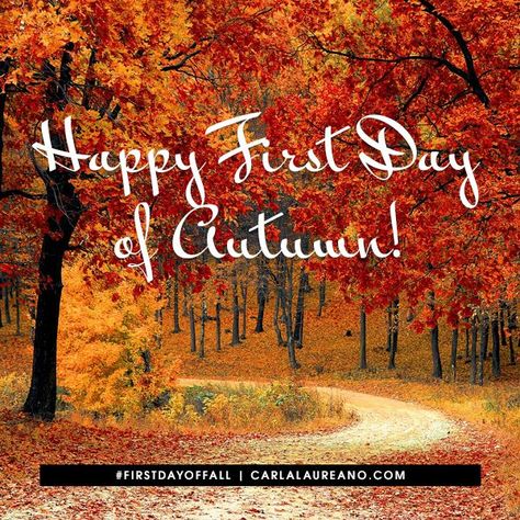 Happy first day of autumn! How will you celebrate the new season? 1st Day Of Autumn, Fall Desktop Backgrounds, My Favorite Color Is October, Pumpkin Patch Pictures, October Quotes, First Day Of Autumn, Happy October, Fall Inspiration, Autumn Scenes