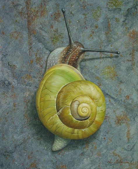 Lennart Nilsson, Snail Image, Snail Art, Bug Tattoo, Insect Photography, Snail Shell, Beautiful Bugs, Sketch A Day, Sketchbook Art Journal