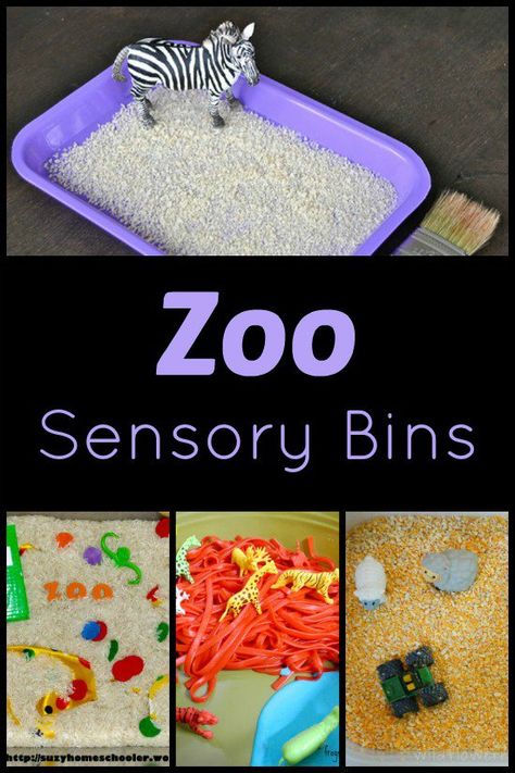 A roundup of zoo sensory bins for kids! Great addition to any zoo unit for preschoolers! Zoo Art For Toddlers, Zoo Sensory, Zoo Lessons, Preschool Zoo Theme, Zoo Preschool, Zoo Crafts, Zoo Zoo, Zoo Activities, Dear Zoo