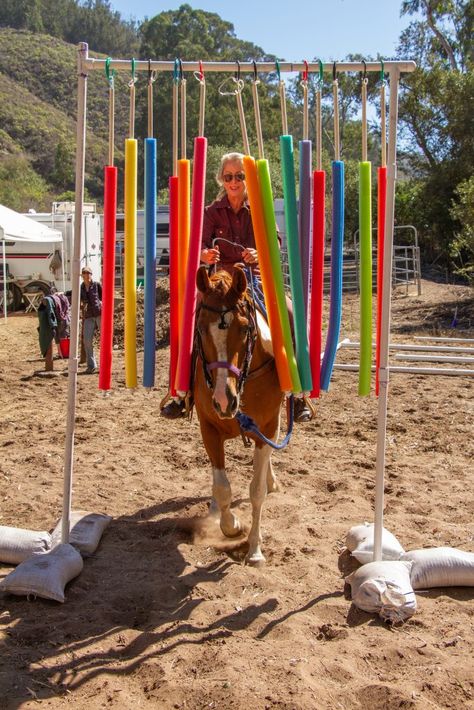 Obstacle Course Ideas For Horses, Horse Training Obstacles Diy, Trail Class Obstacles, Ranch Horse Trail Obstacles, Equine Obstacle Course Ideas, Trail Courses For Horses, Pool Noodle Horse Obstacles, Horse Trail Course, Diy Horse Trail Course