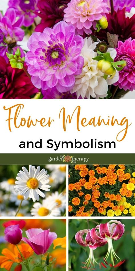 What's up with a Bouquet? Flower Meaning and Symbolism - Garden Therapy Therapy Tattoo, Tulips Meaning, Colour Meaning, Flower Shopping, Friendship Flowers, Flower Tattoo Meanings, Giving Flowers, Garden Therapy, Flower Colour