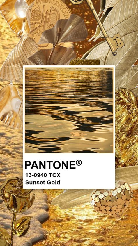 Sunset gold #sunset #gold #yellow #pantone #colour #bright #sun #vintage #slay #art #shine #cool #girlboss Sunset Mood Board Fashion, Gold Tones Palette, Golden Pantone, Bright Pantone, Yellow Mood Board, Gold Colour Palette, Mood Board Fashion Inspiration, Gold Color Palette, Brand Moodboard