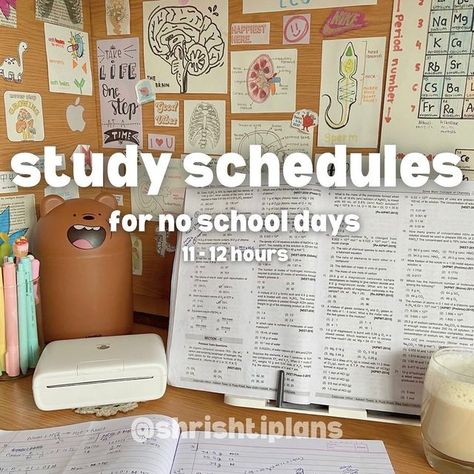 Shrishti Lambor on Instagram: "use the above schedules as a template and make a schedule for yourself that suits your daily routine, class time & sleeping hours 🫶🏻 . . . . . . . . . . . . . . . . . . . . . . @shrishtiplans #shrishtiplans #study #studygram #studymotivation #studytips #studystudystudy #studyspo #studyspiration #studyspace #studyschedule #studentcreatorfellowship #studynotes #studyvlog #studyaesthetic #studyaccount #explorepage #desksetup #deskspace #desksetups #notes #studynotes 16 Hours Study Routine, 12 Hr Study Schedule, 15 Hours Study Routine Schedule, Night Owl Study Routine Schedule, 16 Hours Study Timetable, 10 Hour Study Schedule, Study Day Schedule, Study Schedule Aesthetic, Daily Study Routine Schedule