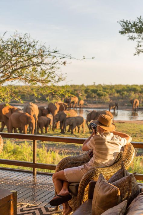 "I'm an escapist. I'm not a planner; I've never made a decision about anything in my life. The good thing about Africa is that you can escape forever. You can do what you want without someone looking over your shoulder." ~ Peter Beard Where: Madikwe Game Reserve, South Africa Nature, Madikwe Game Reserve, Africa Moodboard, Safari Aesthetic, Land Of The Giants, Botswana Travel, Game Reserve South Africa, Travel Wisdom, Botswana Safari