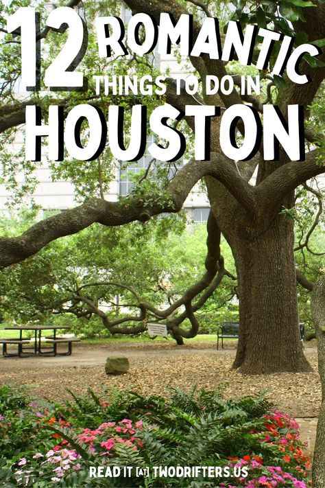 Houston Date Night Ideas, Houston Date Night, Houston Date Ideas, Things To Do In Houston, Visit Houston, Day Date Ideas, Couple Activities, Romantic Weekend Getaways, Romantic Adventures