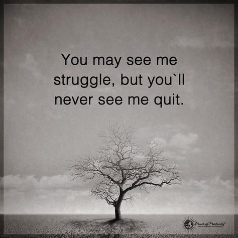 I'm a fighter not a quitter Fighter Quotes, Stay Positive Quotes, Life Lesson, I Quit, Lesson Quotes, Life Lesson Quotes, Staying Positive, See Me, Daily Motivation