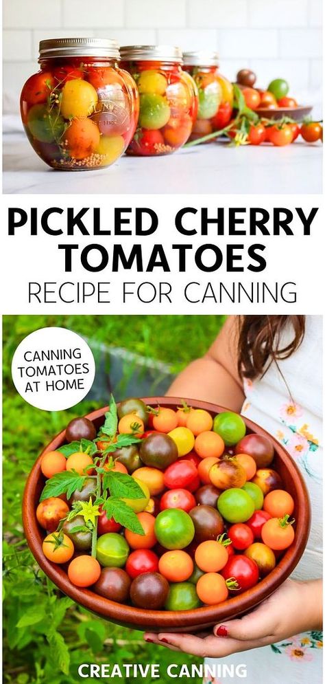 Discover Homemade Pickling Recipes for Canning with pickled cherry tomatoes recipe for canning. These delicious tomatoes are perfect for salads, pasta dishes, or snacking. Made with white wine vinegar, water, pickling salt, garlic, rosemary, and thyme. Follow this easy canning recipe to enjoy them year-round. Find more canning fruit recipes, preserving fruit in jars, and preserving cherry tomatoes at creativecanning.com. Canned Cherry Tomatoes Recipes, Preserving Cherry Tomatoes, Pickled Cherry Tomatoes Recipe, Fruit In Jars, Pickled Cherry Tomatoes, Canning Fruit Recipes, Preserving Fruit, Cherry Tomatoes Recipe, Canning Cherry Tomatoes