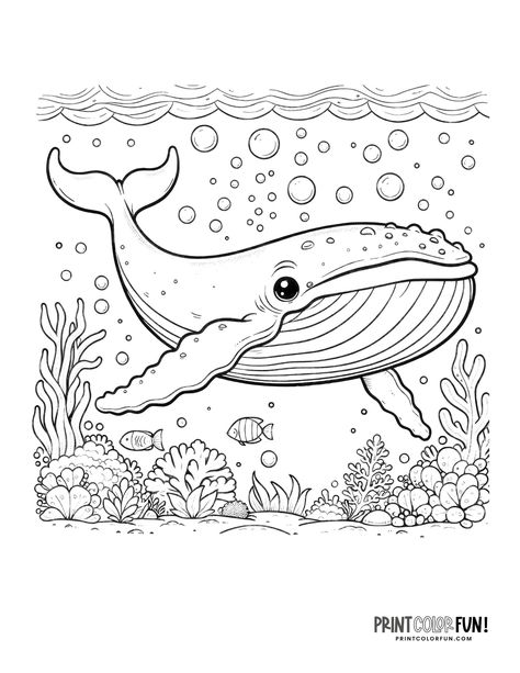 Memorial Day Coloring Pages, Zoo Animal Coloring Pages, Ocean Adventure, Sing 2, Cute Whales, Spark Creativity, Zoo Animal, Animal Coloring, Animal Coloring Pages