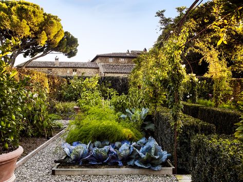 Green Days Luciano Giubbilei, Italy Garden, Garden Plot, Tuscan Style Homes, Tuscan Garden, Vegetable Garden Planning, Under The Tuscan Sun, Sun Garden, Garden Designer