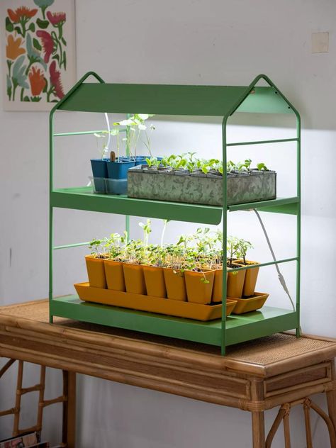 Best grow lights