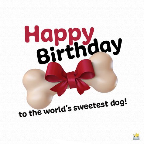 Dog Birthday Quotes, Dog Birthday Wishes, Happy Birthday Puppy, Pet Advertising, Happy Birthday Icons, Cute Birthday Wishes, Funny Happy Birthday Wishes, Happy Birthday Dog, Happy Birthday Art