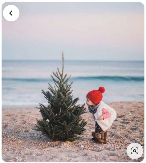 Santa Beach Photoshoot, Florida Christmas Photoshoot, Christmas Photos On Beach, Beach Christmas Photos Family, Holiday Beach Photos Christmas Cards, Beach Xmas Photos, Christmas Pictures At The Beach, Christmas Card Beach Photo Ideas, Florida Christmas Pictures