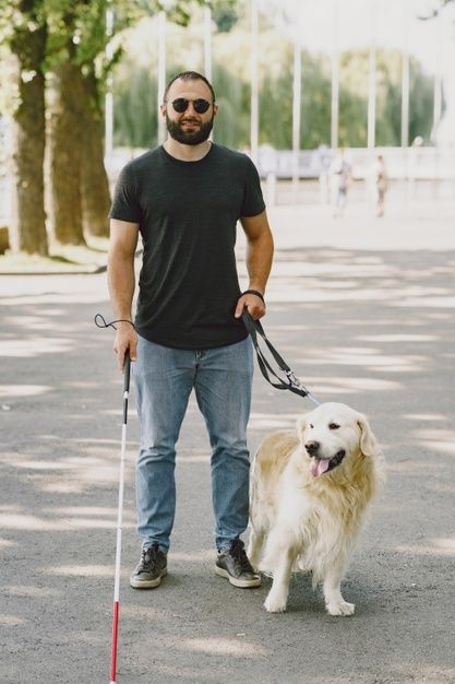 Guide dog helping blind man in the city.... | Free Photo #Freepik #freephoto #city #dog #man #animals Dog And People, Mobility Devices, Aesthetic Pose, Dog Man, Boy Walking, Anime Photo Profile Dark, Dog Poses, City Dog, Guide Dog