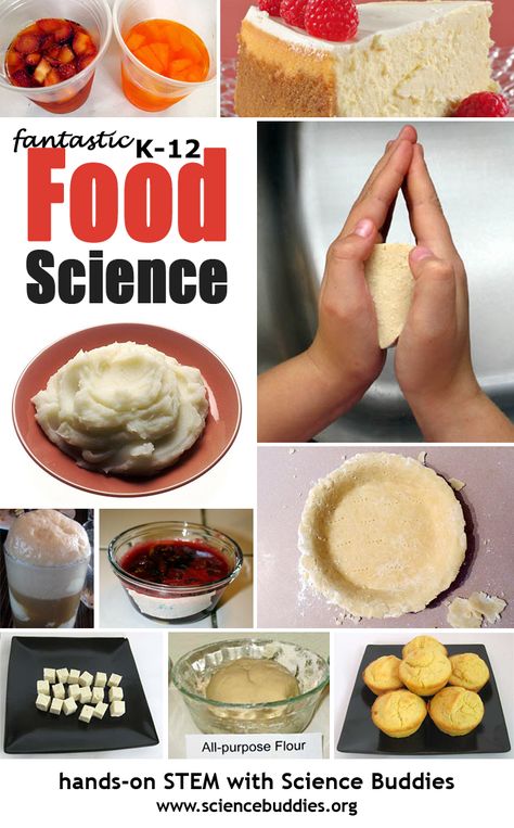 Food Science Experiments, Kitchen Chemistry, Projects Science, Food Chemistry, Kitchen Science, Family And Consumer Science, Health Class, Food Tech, Food Technology