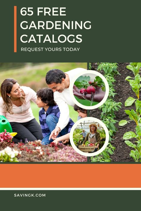 65 Free Gardening Catalogs - Request Yours Today Stump Grinding, Garden Catalogs, Eco Friendly Garden, Mom Group, Backyard Gardening, Rare Seeds, Thriving Garden, Heirloom Vegetables, Seed Catalogs