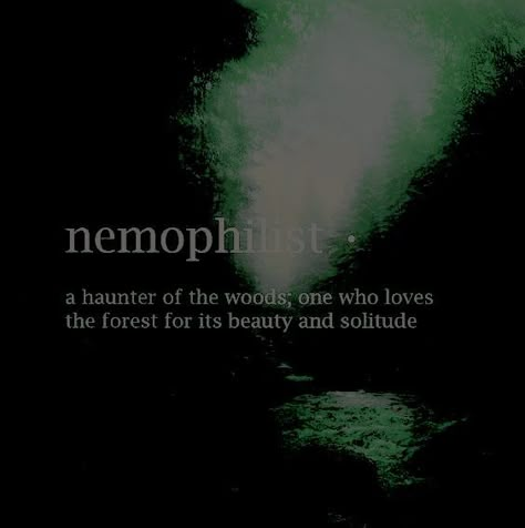 Katrina + Core + Aesthetic, Cryptid Quotes, Survivalist Aesthetic, Anita Core, Feywild Aesthetic, The Voidz, Forest Core, Unique Words Definitions, Fancy Words